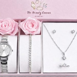 Luxury Watch Combo Set silver